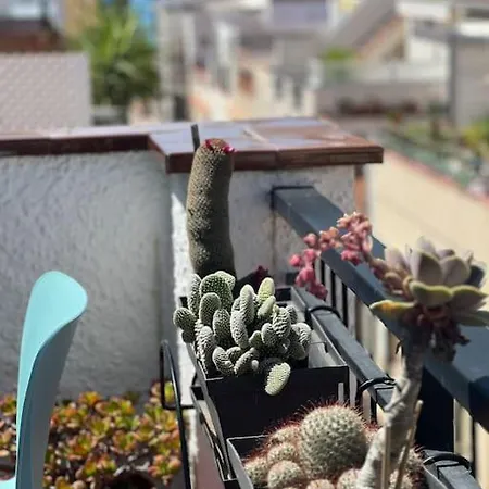 Pure Chill Centre * Sitges