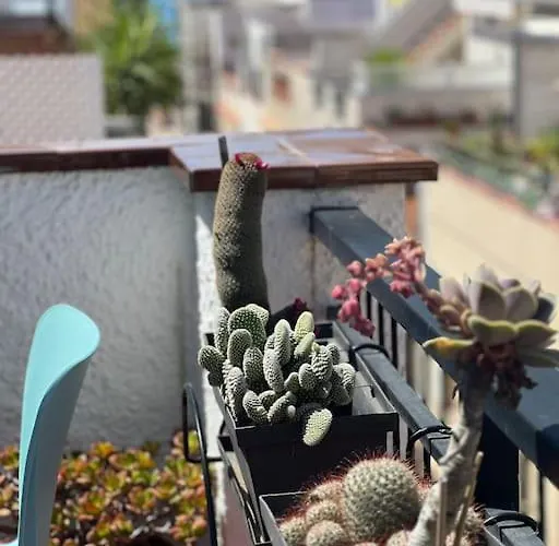 Pure Chill Centre * Sitges